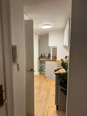 Apartment in Indre By, thumbnail 7